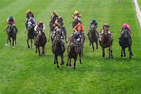the all star mile 2021|The All.